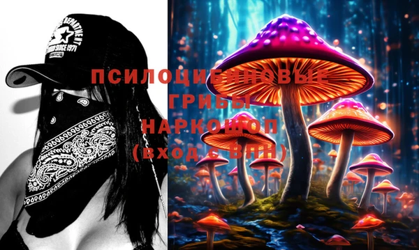 PSILOCYBIN Верхнеуральск