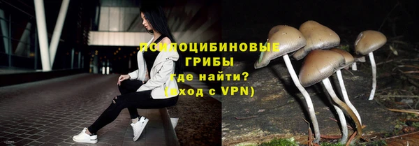 дмт Нефтегорск