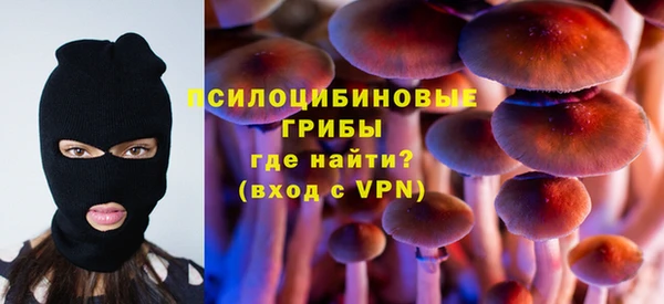 крисы Нефтекумск