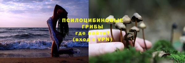 герыч Билибино
